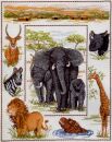 African Sampler