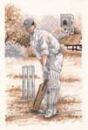 Sepia Cricket Scene