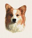 Corgi