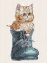 Curious Kitten