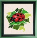Lady Bug
