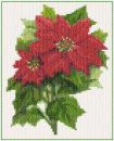 Poinsettia