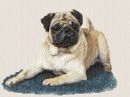 Puggley