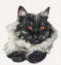 Smoke Persian