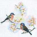 Chaffinches and Blossom