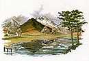 Still Waters