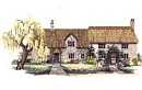 Willow Tree Cottages