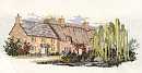 Willowbrook Lane
