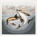 485 - Dolphin Duo