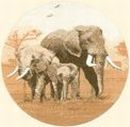 450 - Heavy Eaters