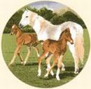 447 - Horse Play