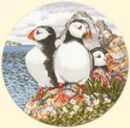487 - Puffin Patrol