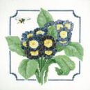 456 - Auriculas