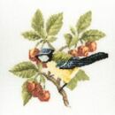 375 - Blue Tit