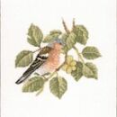 379 - Chaffinch