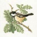 376 - Coal Tit