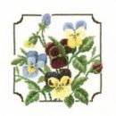 453 - Pansies
