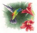 539 - Hummingbird in Flight