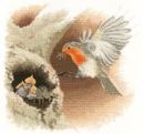 540 - Robin in Flight
