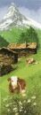 524 - Alpine Meadow
