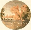 397 - Autumn Reflections