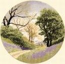 260 - Bluebell Lane