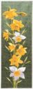 469 - Daffodils Panel