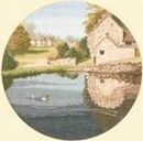 242 - Duck Pond