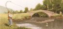 247 - Fly Fishing
