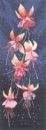 535 - Fuchsia Panel