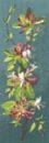 585 - Honeysuckle Panel