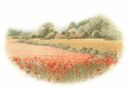 254 - Poppy Farm
