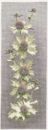 470 - Sea Holly Panel