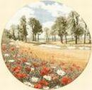 261 - Summer Meadow