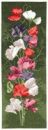 515 - Sweet Pea Panel