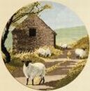 244 - Sheep Track