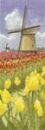 587 - Tulip Fields