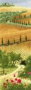 567 - Tuscany