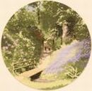 311 - Woodland Walk