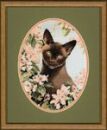 304 - Burmese Cat