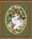 345 - Brown and White Cat.