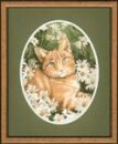306 - Ginger Cat