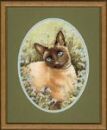 305 - Siamese Cat