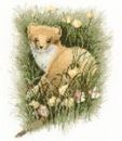 294 - Stoat