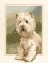 417 - Westie