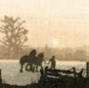 328 - Off To Plough
