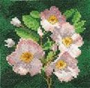 520 - Mini Dog Rose