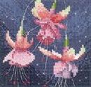 577 - Mini Fuchsias