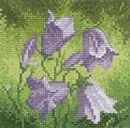 538 - Mini Harebell