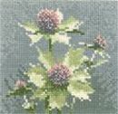 498 - Mini Sea Holly